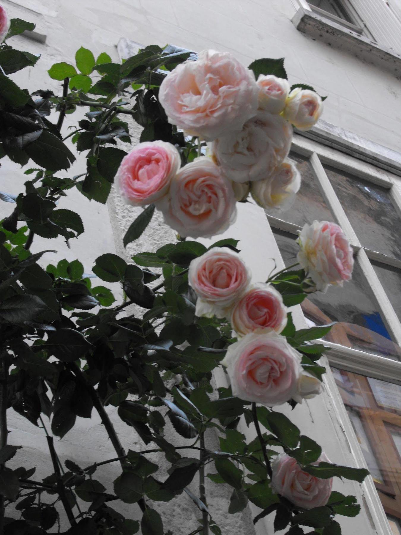 Bed and Breakfast La Demeure Saint-Ours Loches Esterno foto